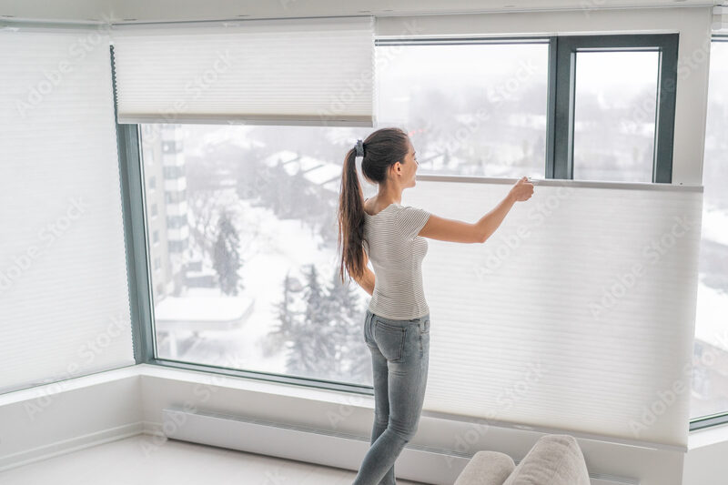 honeycomb shades